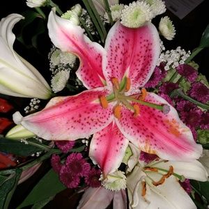 Meet your Posher, Irma